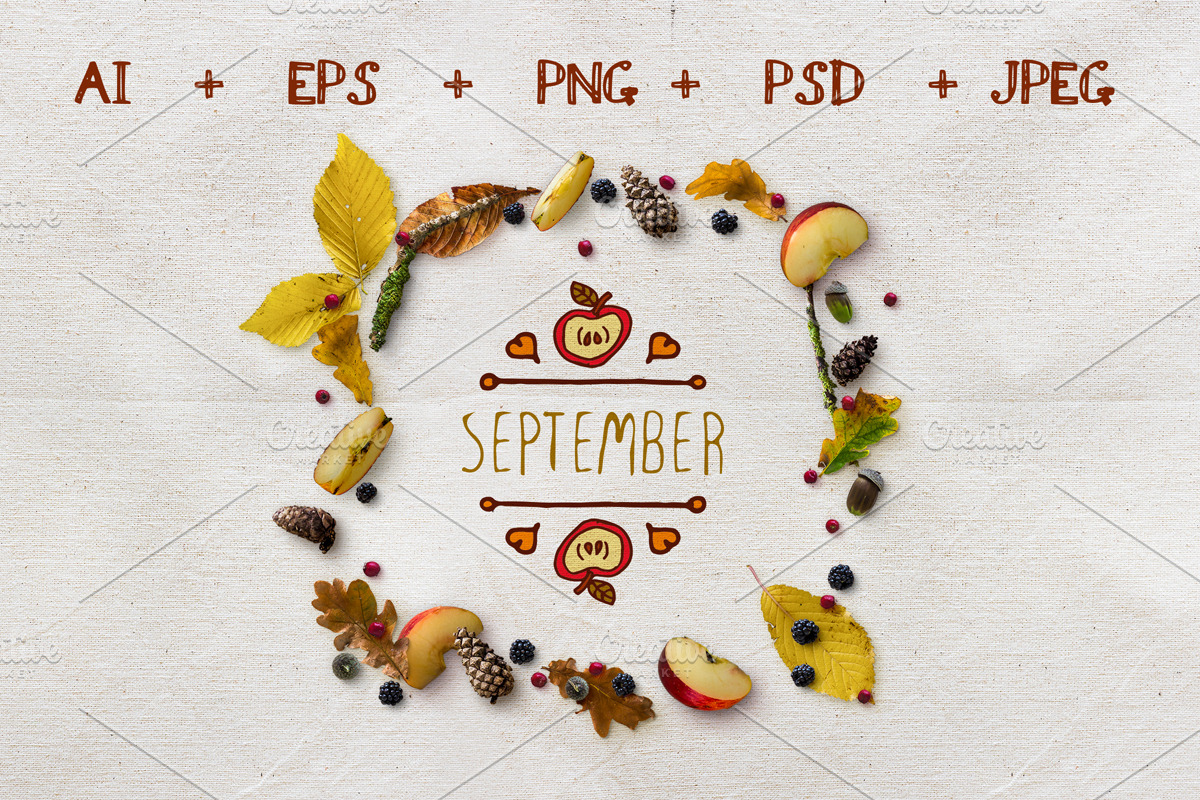 Hand-sketched fall season cards, an Illustration by AV Design (Photo 2 of 6)