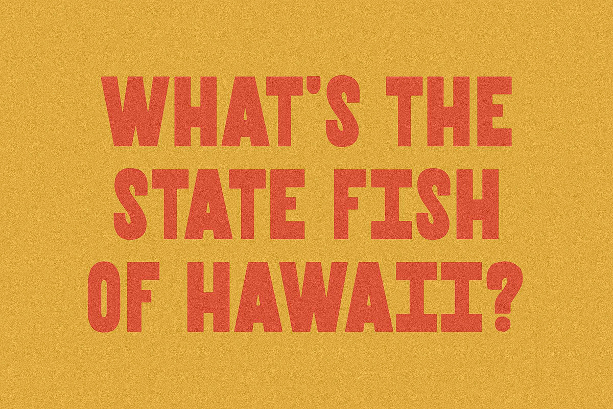 Kari I A Bold Sans Serif, a Sans Serif Font by Taylor Penton (Photo 3 of 4)