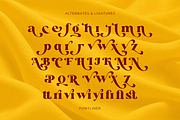 Venary - Elegant Fashion Serif Font, a Serif Font by Font Liner (Thumbnail 10 of 10)
