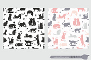 Cartoon cats clipart set, an Animal Illustration by pet design shop (Thumbnail 10 of 12)
