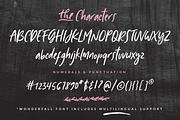Fonts bundle - 12 fonts, a Handwritten Font by Creator Goodies (Thumbnail 21 of 37)