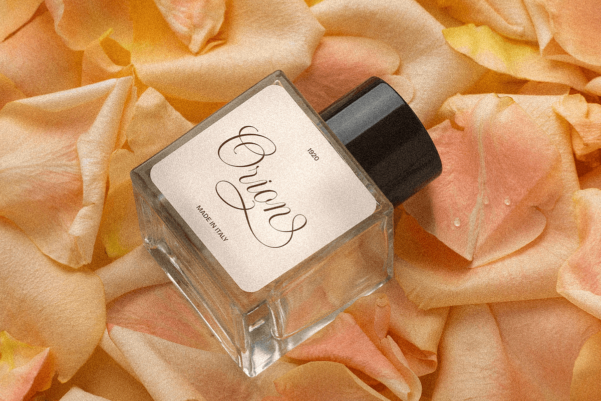 Vangelina – Modern Cursive Script, a Script Font by Pixesia Studio (Photo 9 of 15)