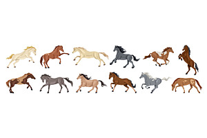 Set of purebred horse gait, animal, an Animal Illustration by Elegant Solution