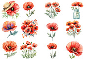 Poppy Flowers Clipart, an Illustration by Designworld (Thumbnail 3 of 4)