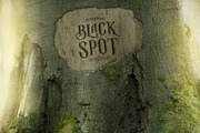 Black Spot Vintage Display Font, a Serif Font by vatesdesign (Thumbnail 7 of 9)
