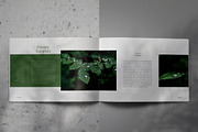 GREENY Lookbook Brochure Template, a Brochure Template by Indotitas (Thumbnail 4 of 9)