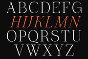 The Pixel Editorial – Modern Serif, a Sans Serif Font by Lettertype Studio (Thumbnail 8 of 15)