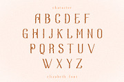 Elizabeth, a Serif Font by Umitype (Thumbnail 10 of 11)