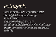 Ectogenic, a Serif Font by CreateBigSupply (Thumbnail 3 of 8)