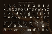 Clony – Elegant Ligature Serif, a Serif Font by RagamKata (Thumbnail 9 of 10)