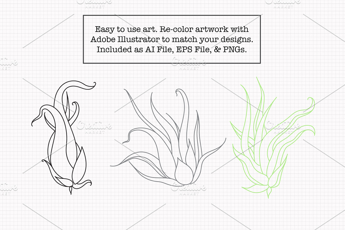 Air Plant Ink Illustration Set, an Illustration by Hannah Eliza Studio (Photo 3 of 5)