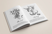 Hand Drawn Nuts set Vector, a Food Illustration by ON_lineart_store (Thumbnail 6 of 11)