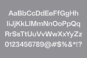 DuGrotesk, a Sans Serif Font by DKType Foundry (Thumbnail 8 of 12)