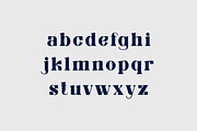 Obligately Old Display Serif Font, a Serif Font by UICreative (Thumbnail 5 of 13)