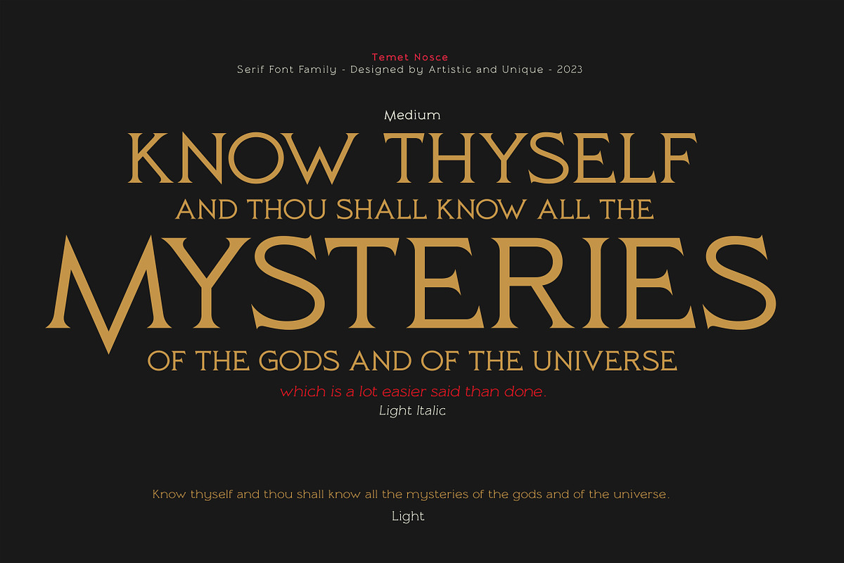 Temet Nosce - Serif font family, a Serif Font by Artistic & Unique (Photo 2 of 15)
