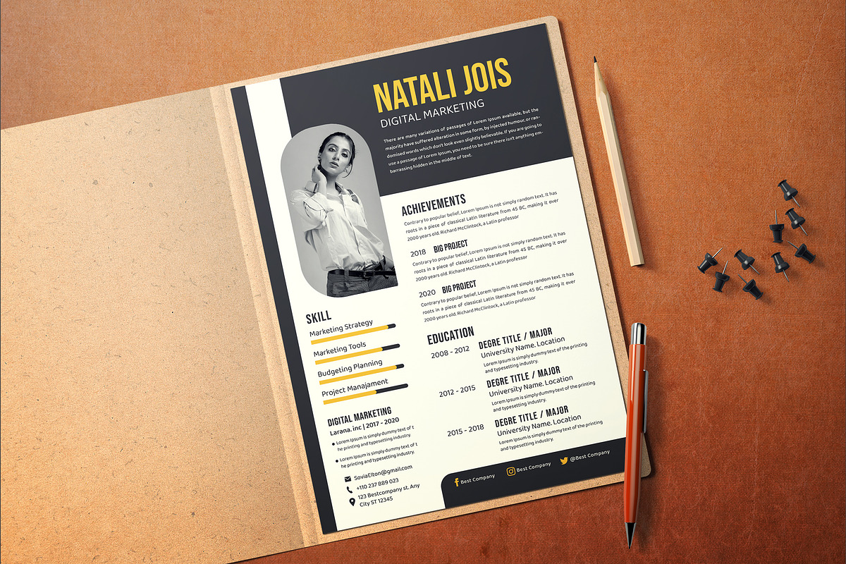 Curriculum Vitae Template, a Resume Template by Vibesteam