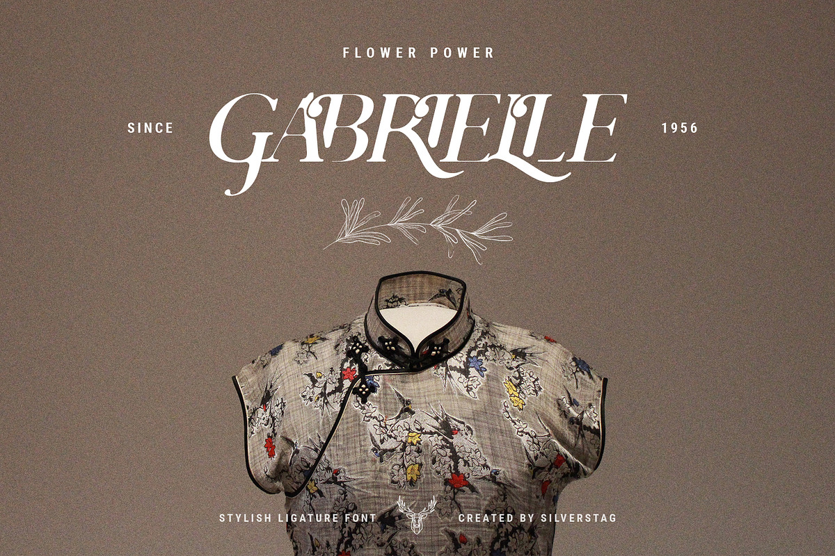 Charles - Ligature Serif Font Family, a Serif Font by SilverStag Type Foundry (Photo 8 of 32)