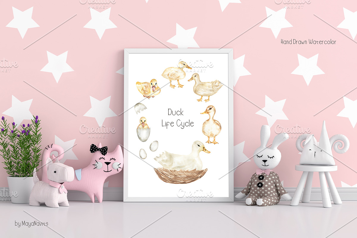 Watercolor Life Cycle Collection, an Education Illustration by MayaNavits (Photo 10 of 15)