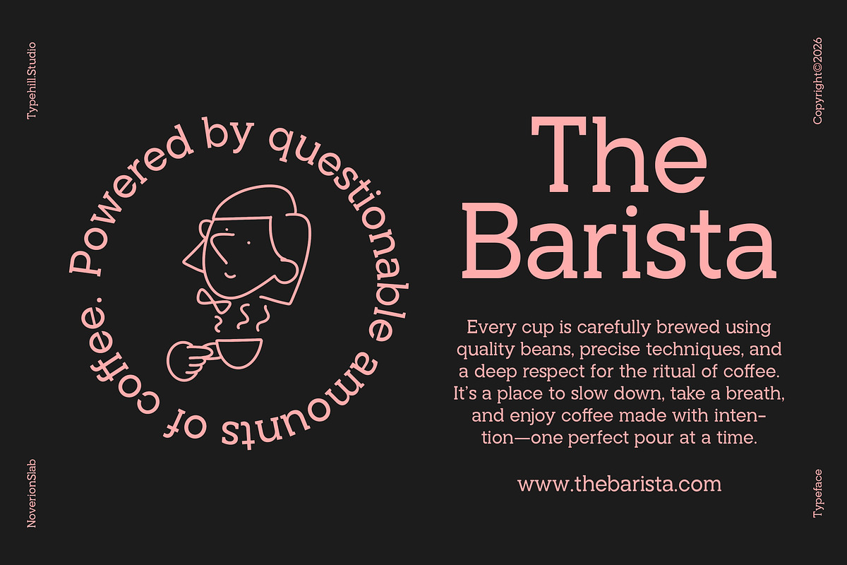 Noverion Slab, a Slab Serif Font by Typehill (Photo 15 of 15)