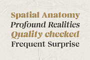 Magnivera; 8 Display Serif Font, a Serif Font by Eko Bimantara (Thumbnail 4 of 11)