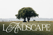 Twist Glimpse, a Font by din-studio.com (Thumbnail 4 of 16)