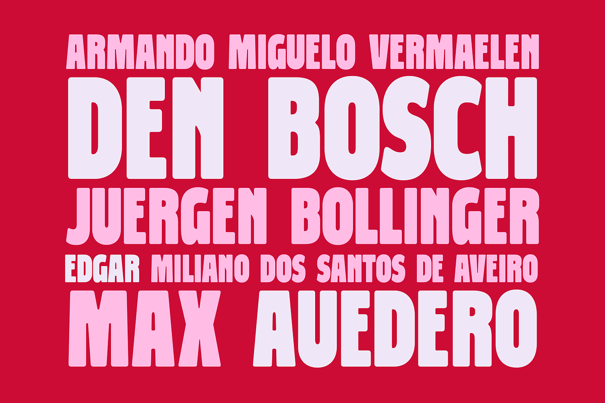 Sequia Grande - Condensed Font, a Sans Serif Font by Viswell (Photo 2 of 9)