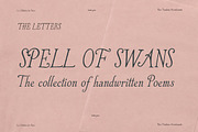 Whimsical Handwritten Serif Font Duo, a Handwritten Font by Laras Wonderland (Thumbnail 13 of 15)