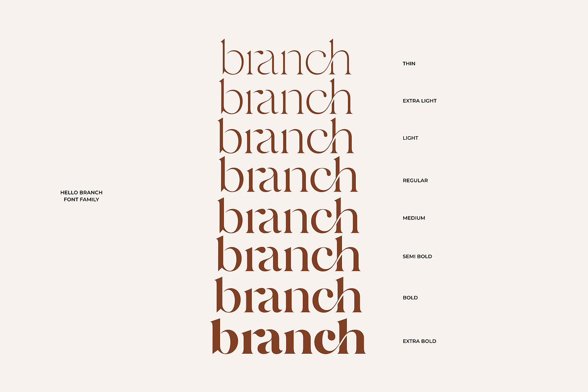 Hello Branch 8 Font Family, a Serif Font by Sans & Sons (Photo 6 of 12)