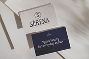 Omega – Serif Display Font, a Serif Font by Almeera Std (Thumbnail 2 of 10)