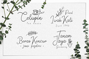 Springfield | Fontduo+Extras, a Script Font by Weape Studio (Thumbnail 2 of 11)