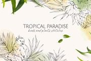 TROPICAL PARADISE birds and plants, a Decorative Illustration by Yuliia Lashevska (Thumbnail 14 of 14)