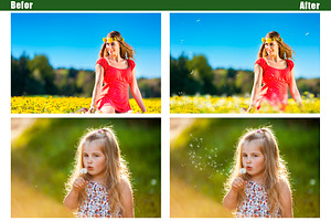 35 Dandelion Flowers Photo Overlays