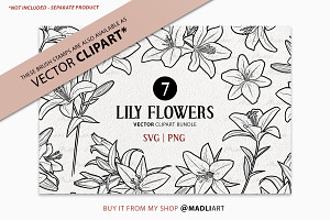 Lily Flower Procreate Brush Stamps