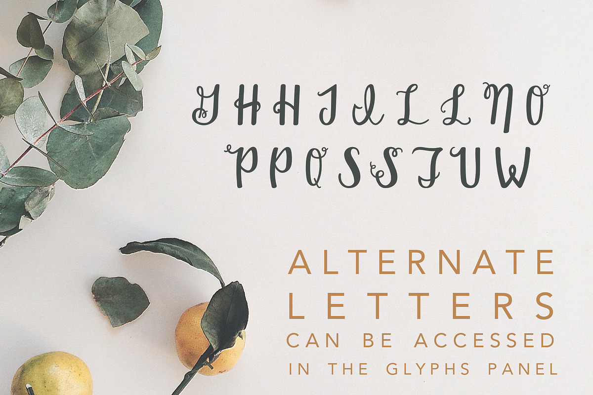 Enchanted: A Script Font preview 3
