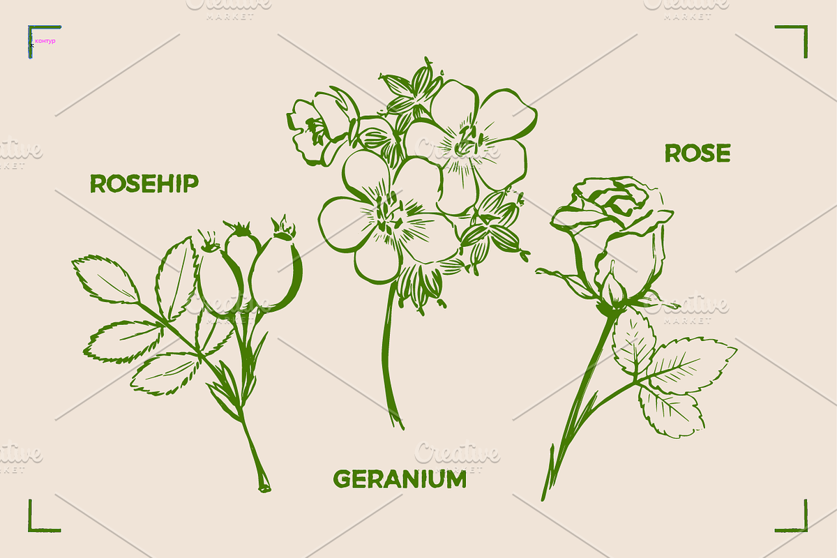 AROMATHERAPY (26 illustrations), a Healthcare Illustration by Bonfloret Studio (Photo 9 of 11)