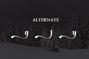 Snowly | Script Font, a Handwritten Font by Scratchones (Thumbnail 8 of 9)