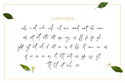 Lemonade Fonts Duo, a Script Font by kavoon (Thumbnail 16 of 20)