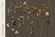 Nostalgique Vintage Collage Kit, an Object Graphic by Eclectic Anthology (Thumbnail 8 of 10)