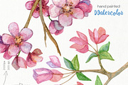Watercolor Birds Clipart, an Animal Illustration by OllyKo Art (Thumbnail 4 of 7)