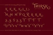 Thirsk - An Elegant Serif, a Serif Font by The Traveling Fox (Thumbnail 8 of 8)