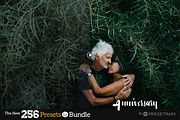 256 New Lightroom Preset Bundle, an Action Add-On by Presetrain Co. (Thumbnail 6 of 51)