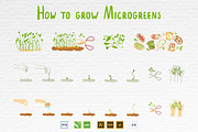 Microgreens Vector Set 1, a Food Illustration by ElenaKovalyova (Thumbnail 16 of 21)