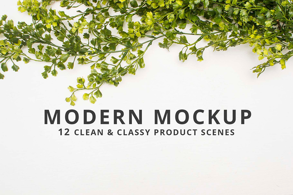 Modern Mockup, Clean Mockups, a Background Photo by BlueBooks (Photo 1 of 14)