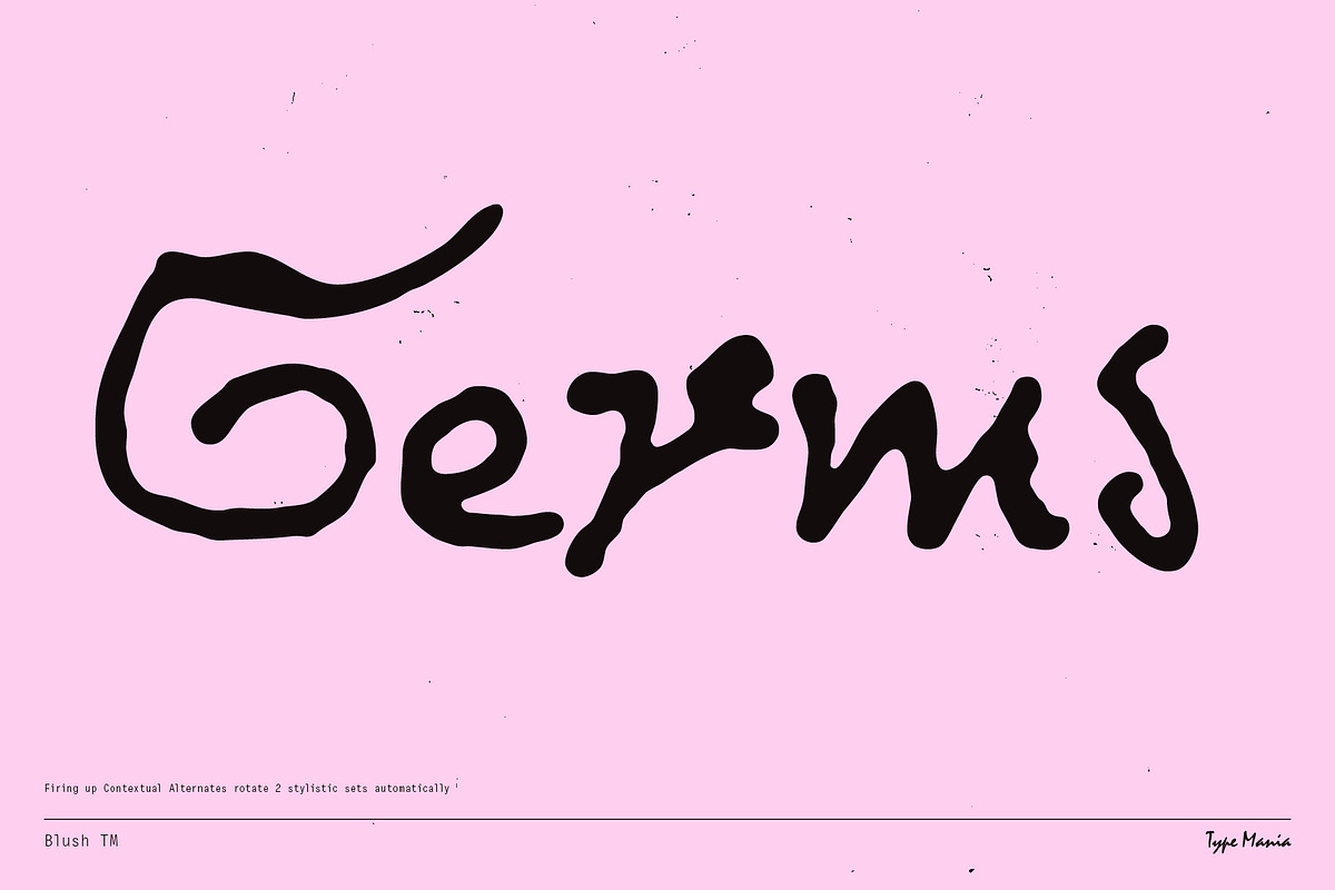 Blush TM – Messy Dynamic Script, a Handwritten Font by Type Mania (Photo 5 of 12)