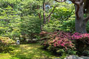 Garden of Seisonkaku Villa in Kenroku-en, Kanazawa, Japan, a Nature Photo by GoodGoods (Thumbnail 1 of 2)