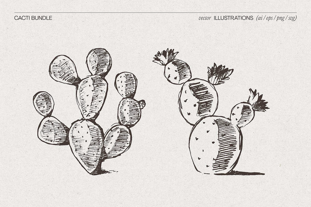 Sketch Cacti Vector Bundle, a Seasonal Illustration by TheMountBirdStudio (Photo 5 of 14)