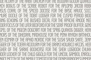 Gulling, a Serif Font by Bagerich Type Foundry (Thumbnail 10 of 11)