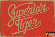 FIGHTER II - Vector illustration, an Animal Illustration by Artistic & Unique (Thumbnail 7 of 12)