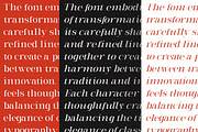 Milghera Serif, a Serif Font by IM Studio (Thumbnail 12 of 12)