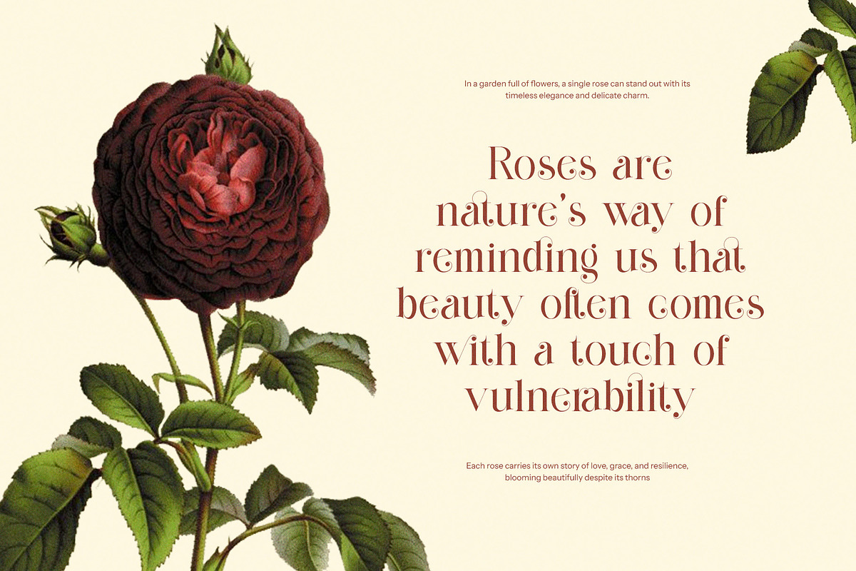 Gilgha Elegant Ligature Serif Font, a Serif Font by Perfectype (Photo 3 of 8)